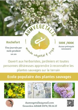 aumvegetalis
