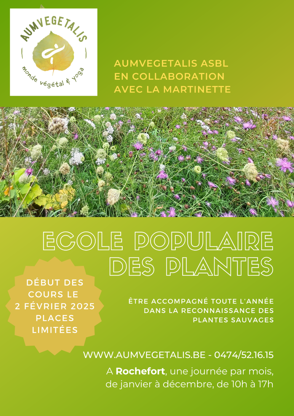 L&rsquo;école populaire des plantes sauvages
